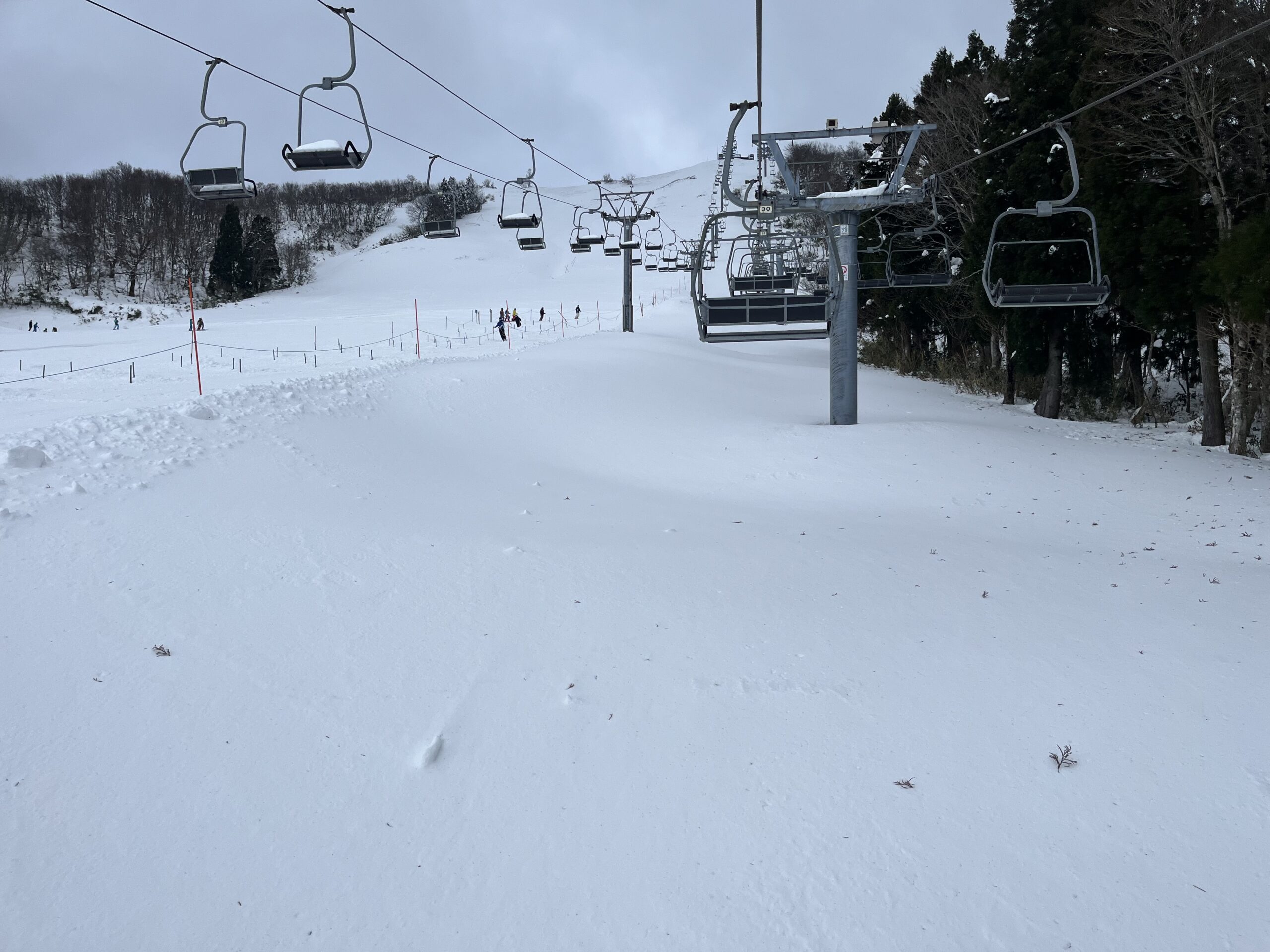 2025ハチ北初滑り