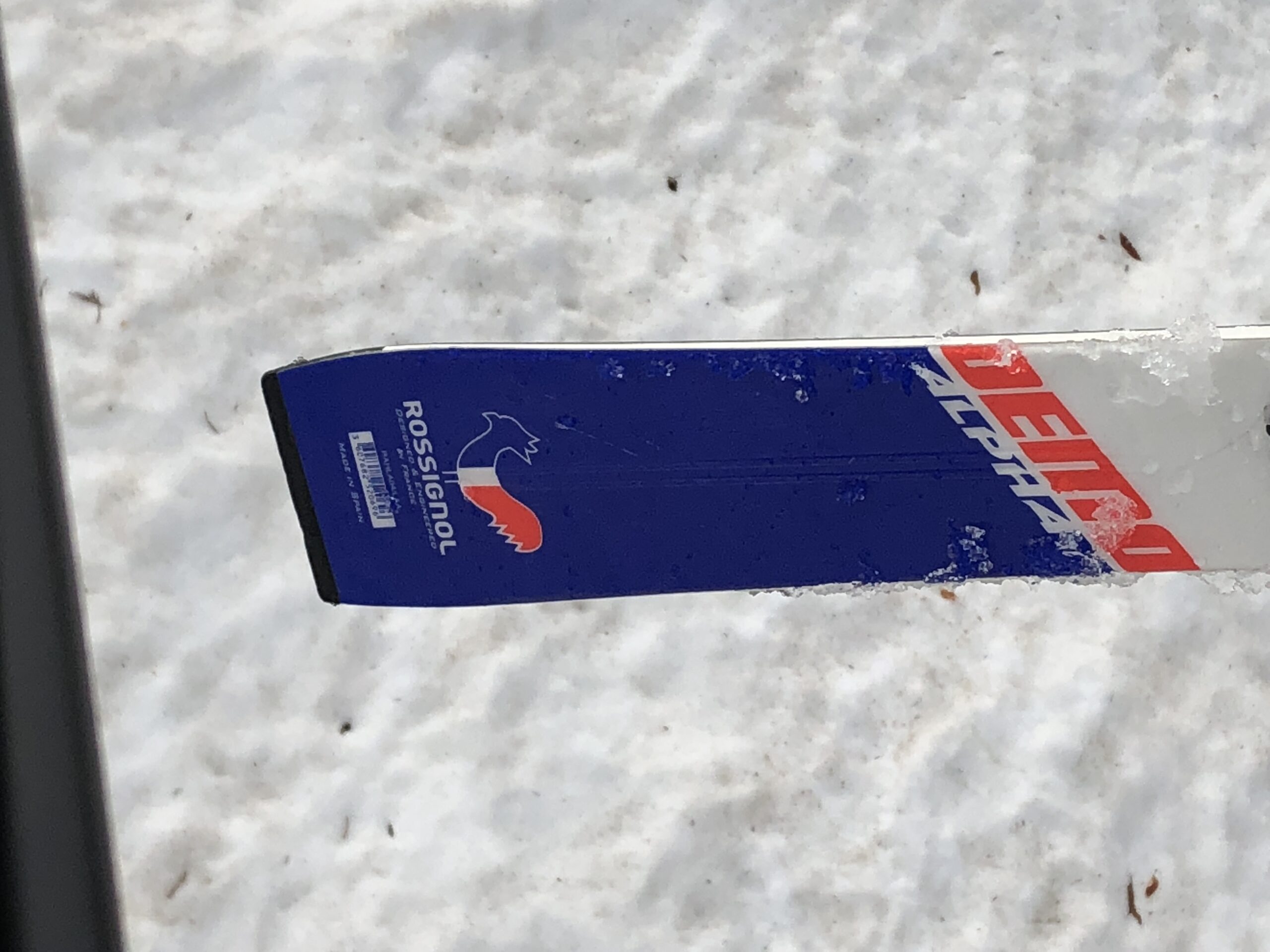 ロシニョールデモアルファ2018