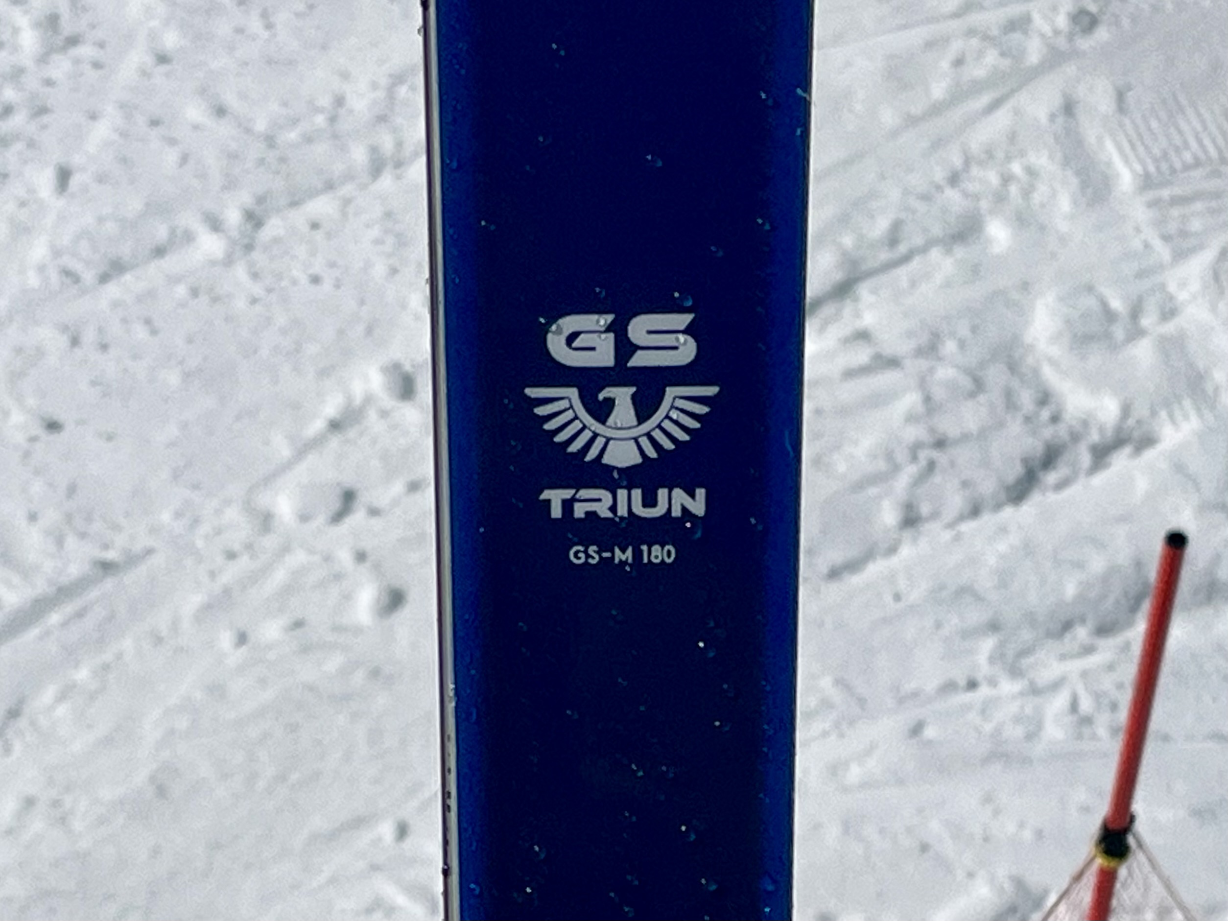 オガサカトライアンGS−M180cm+ SREDプレート