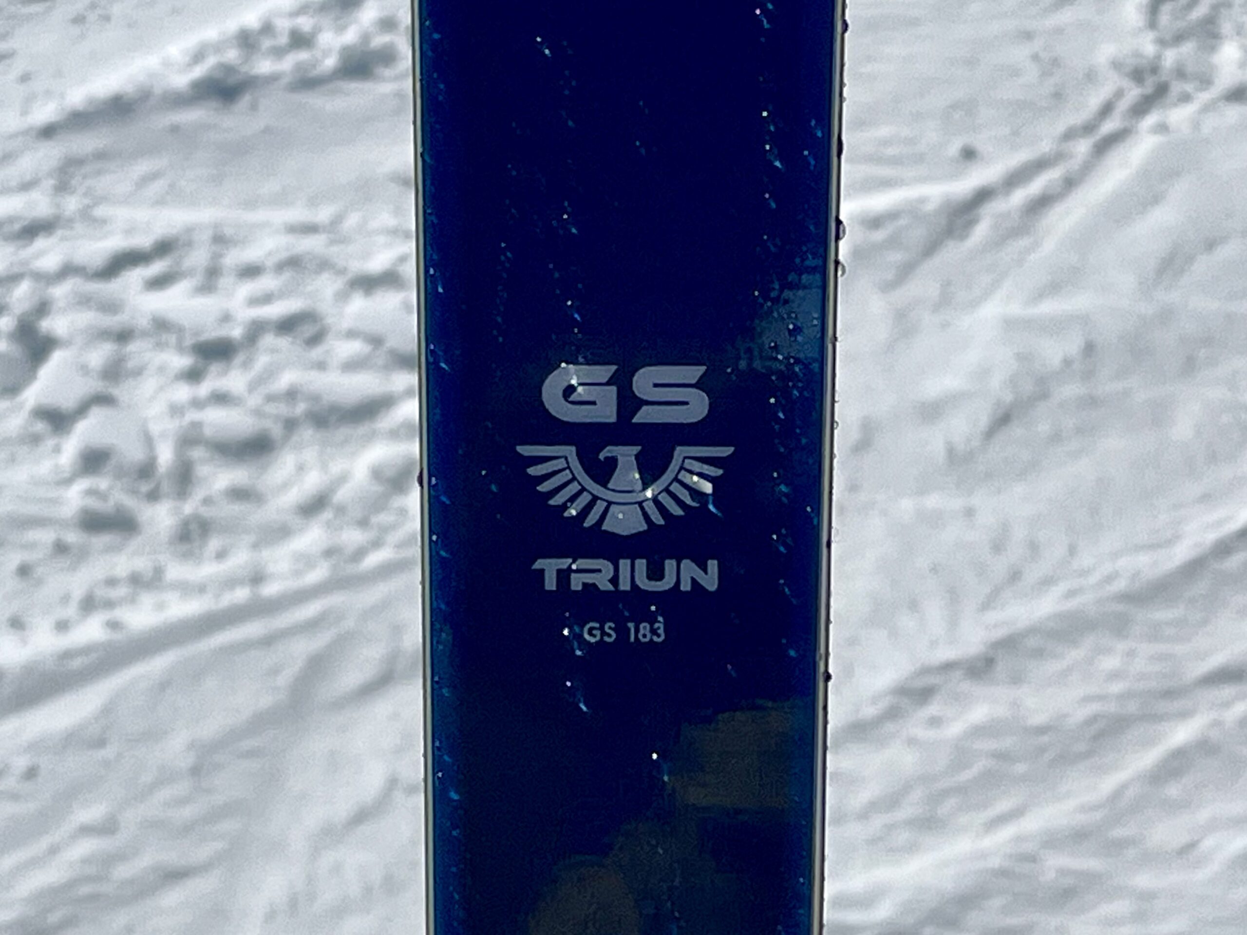 2026/2027ニューモデルスキー試乗記 オガサカトライアンGS183cm＋ SRED