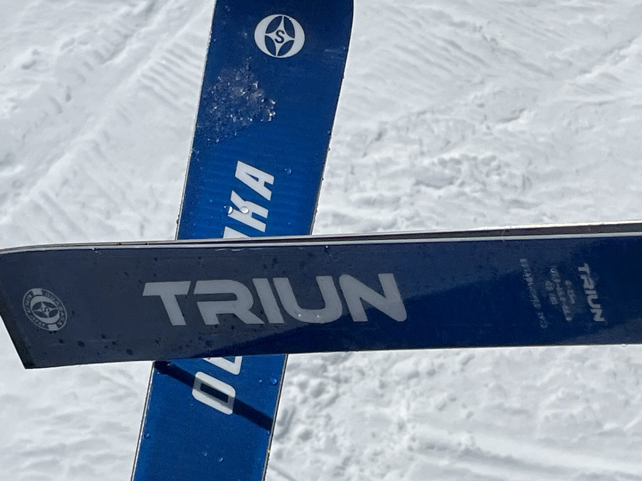 2026/2027ニューモデルスキー試乗記 オガサカトライアンGS183cm＋ SRED