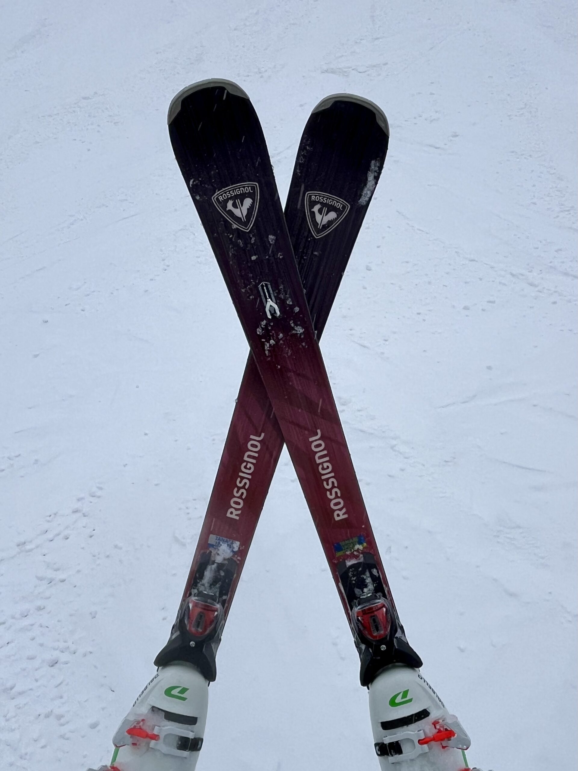 ロシニョールSUPER VIRAGE VⅢ