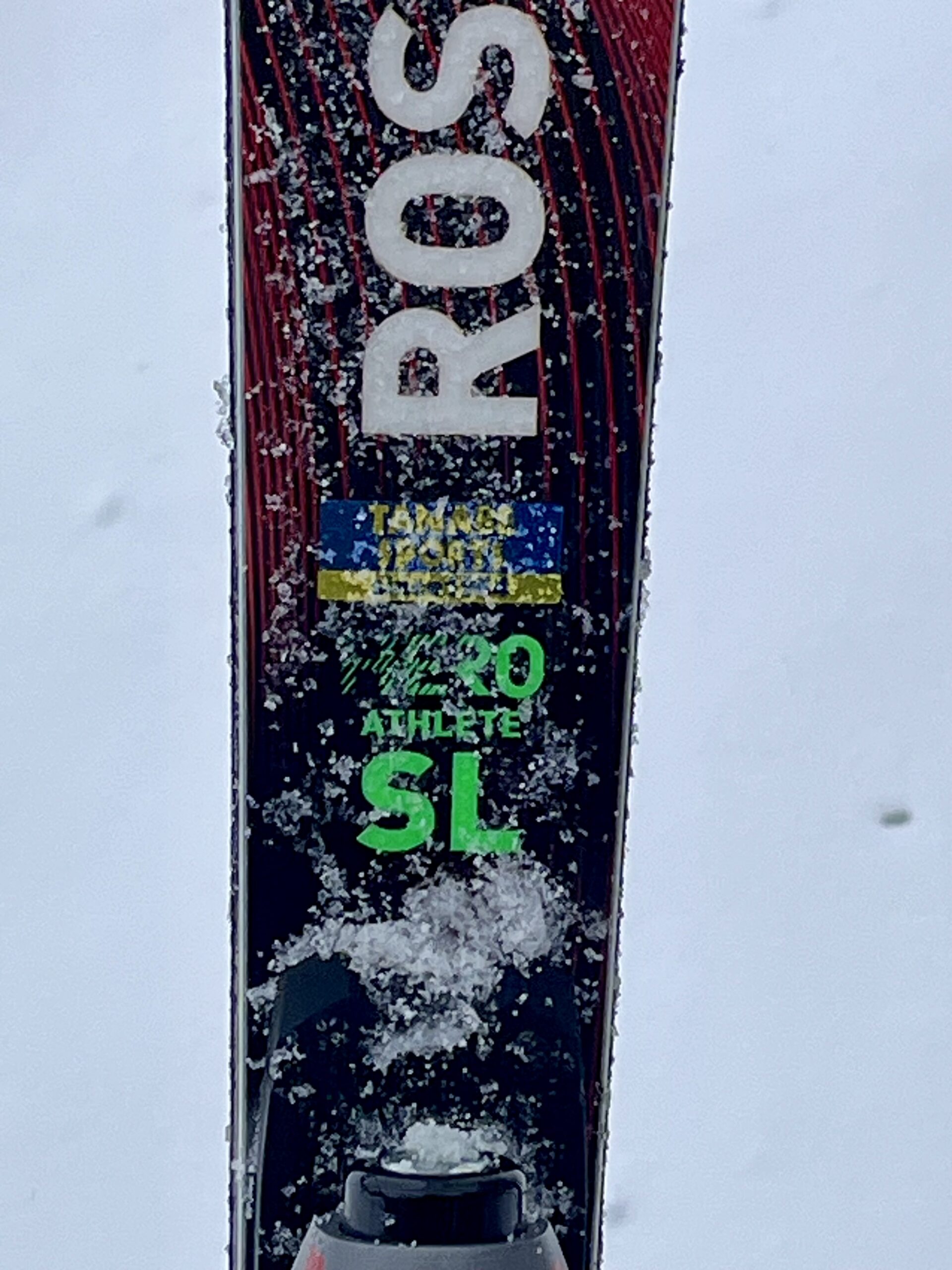 ロシニョール HERO FIS SL FAC 165 R22